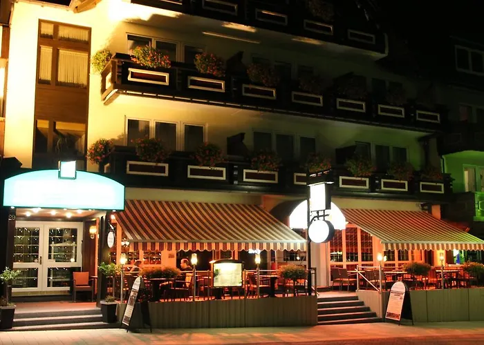 Central-hotel Hotel 3*